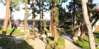 Huntington Creek Gallery 61