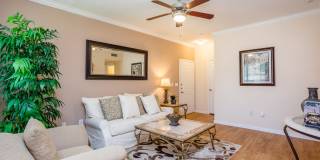 Stone Mist Gallery 6