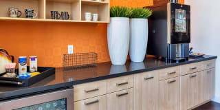 The Curve at Melrose Gallery 19