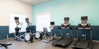 Wellstone Gallery 18