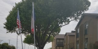 Country Club Condos Gallery 10