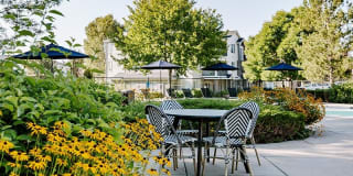 Kallisto at Bear Creek Gallery 29