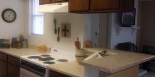 Carriage Glen Gallery 6