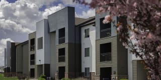 Wilshire Place Apartments Gallery 21