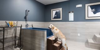 The Abbey at Sonterra Gallery 20