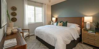 Village at Schnepf Farms Gallery 4