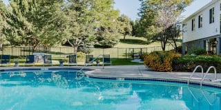 Kallisto at Bear Creek Gallery 22