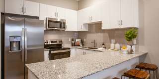 Viceroy Luxury Townhomes Gallery 1