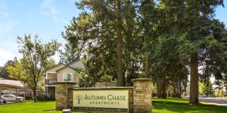 Autumn Chase Gallery 16