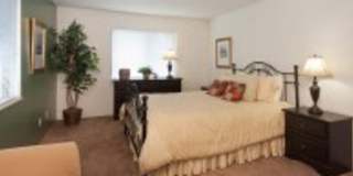 Castlegate Apartment Homes Gallery 8