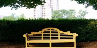 Timber Woods Gallery 7