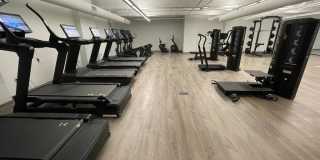 Red Oak at 409 Elm Street Gallery 15