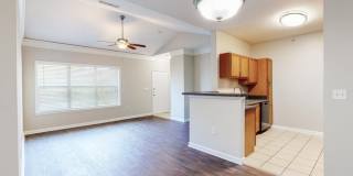 Prosper Orange Beach Gallery 2