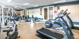 Natomas Park Gallery 17