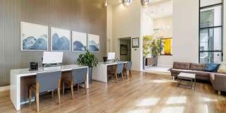 Domus on the Boulevard Gallery 15