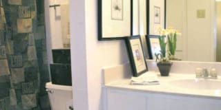 Walnut Terrace Gallery 10