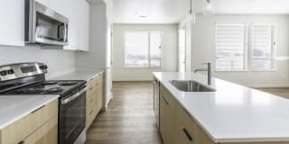 Lotus Republic Gallery 1