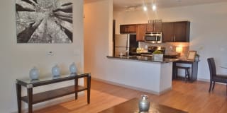 Oxford at Lake Worth Gallery 2