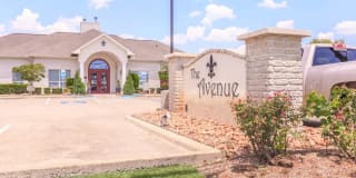 The Avenue Gallery 18