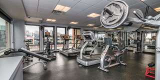 Prospect on Central Gallery 30