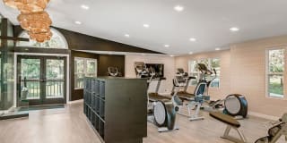 Kallisto at Bear Creek Gallery 9