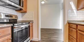 Pioneer Woods Gallery 1