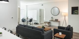 Abacus Alamo Ranch Abacus Alamo Ranch Gallery 4