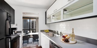 1133 North Dearborn Gallery 11