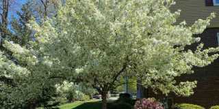 Eagles Landing Gallery 11