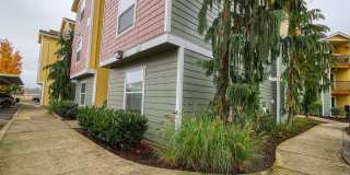 Seasons on the Park Gallery 29