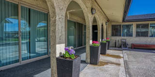 PepperTree Village Gallery 10