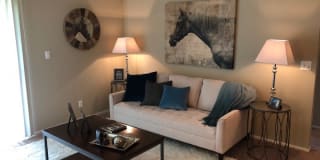 Cardinal Village Gallery 4