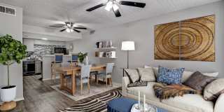 Sam Maverick Gallery 1