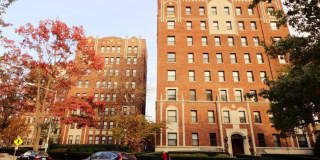 Windermere Harrowgate Gallery 9