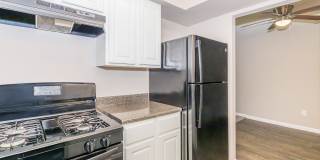 Delta Properties Gallery 1