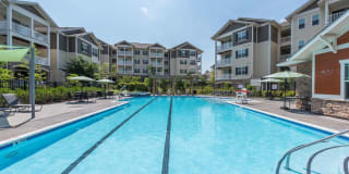 River Oaks Gallery 19