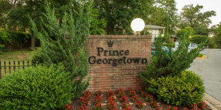 Prince Georgetown Gallery 8