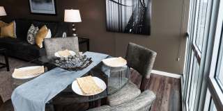 Ovation 309 Gallery 9