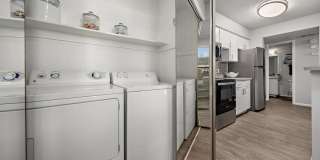 Serafina at South Mountain Gallery 14