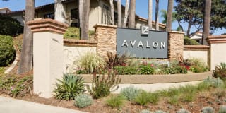 Avalon La Jolla Colony Gallery 39
