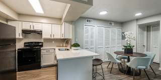 Cadia on the Loop Gallery 4