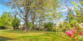 Balfour 296 Gallery 16