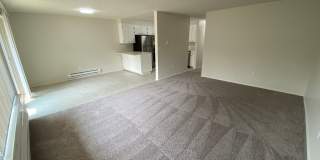 Cortina Apartments Gallery 1