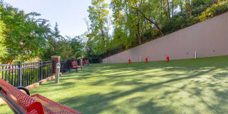 DelRay Tower Apartments Gallery 25