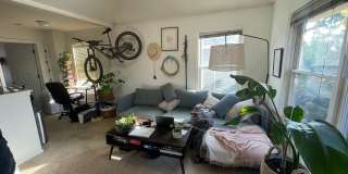 1629 Spruce St Apt 4 Gallery 1