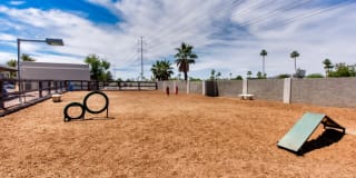 Avana Tempe Gallery 43