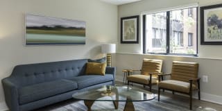 Arcade Sunshine Gallery 48