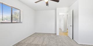 Don Quixote Gallery 5