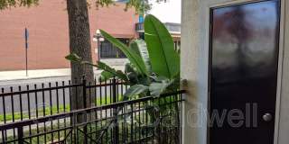 1910 E Palm Ave Gallery 11