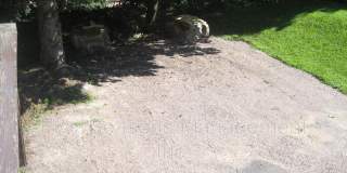 80 Chase Street Gallery 11